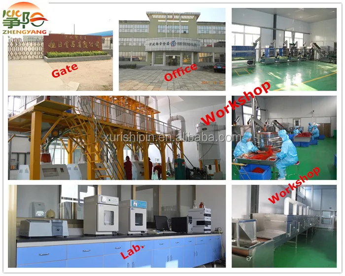 Company and workshop.jpg