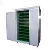 Hydroponics fodder for goats with factory price