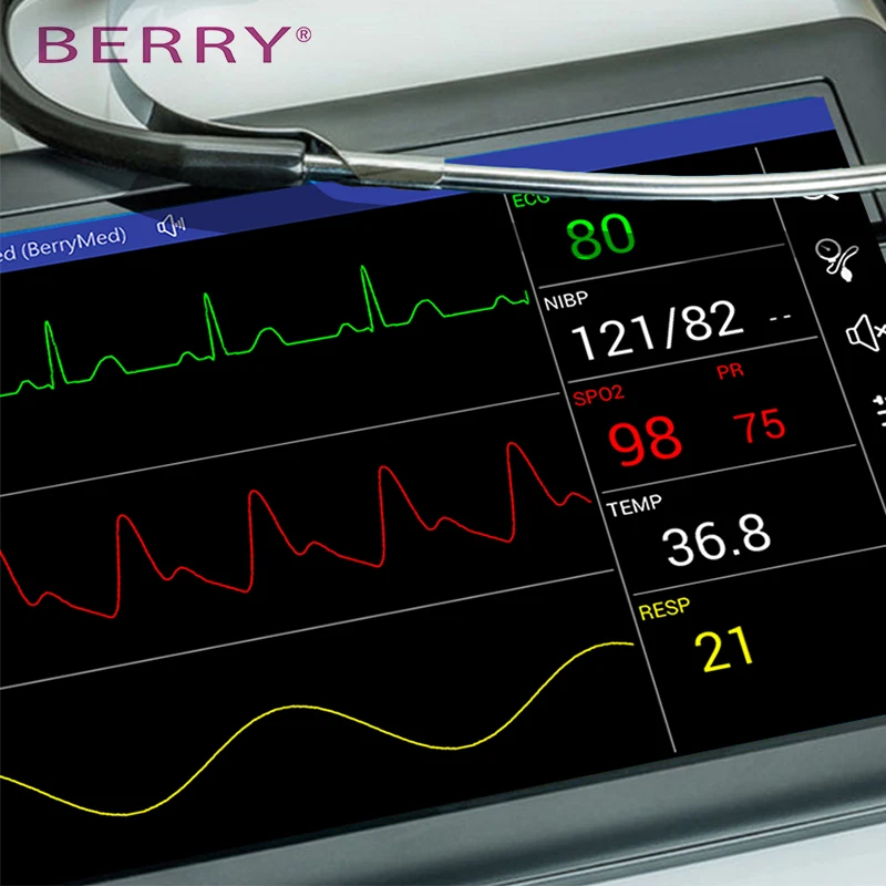 BERRY AM6750 Good quality Multi-parameter Portable etco2 Veterinary Patient Monitor