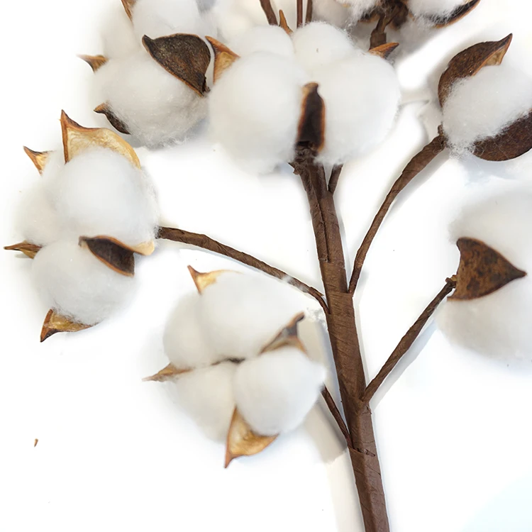 
21inch New designs Natural artificial dried flowers decorative flowers bionic balls natural cotton stems wholesale 3 pack 6 