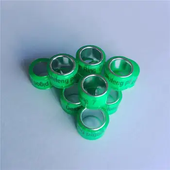 Magnet Dalam Olahraga Outdoor Kayu Sangkar Burung Merpati Pan