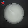 frosted glass ceiling lamp