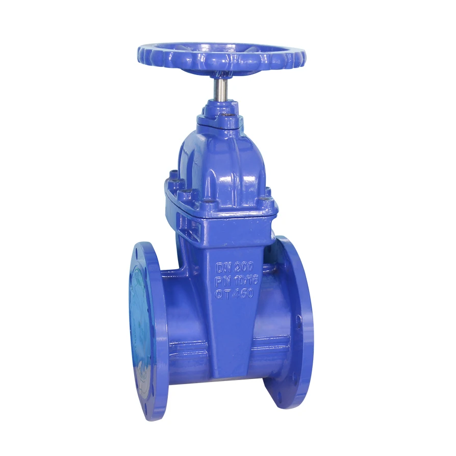 3 Inch 4 Inch 6inch 8inch 12inch Dn200 Dn300 Hand Wheel Gate Valve