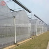 China Factory Direct Single Span Plastic Greenhouse for Farming