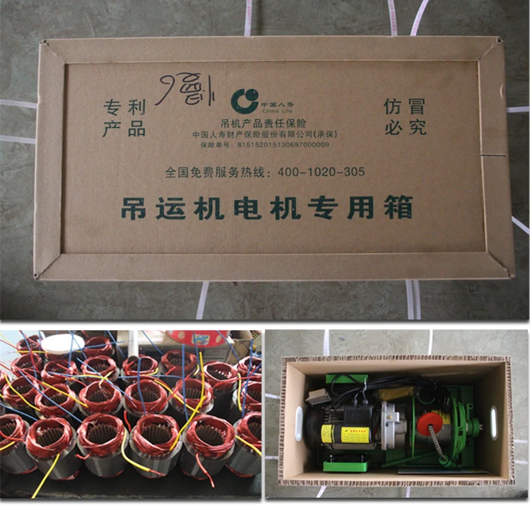 small electric crane 220v