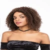 Mongolian Afro Kinky Curly Wig Natural Black Lace Front Human Hair Wigs For Black Women Pre Plucked 150 Density Remy Wigs