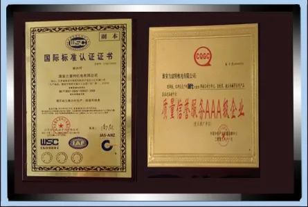 certification 1 .jpg