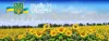 come study in Ukraine