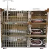 Cat Cage Trapdog Crate Cagechrome Dog Cage for Veterinary Hospital