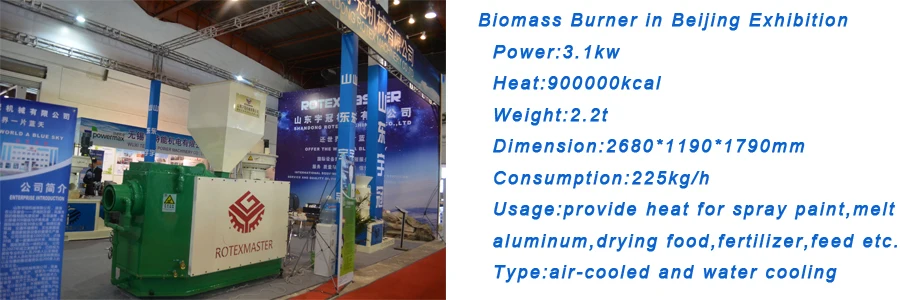 biomass burner.jpg