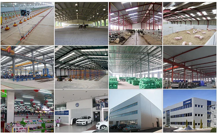 Portable Prefabricated Steel Structure Shed Workshop Hangar Pole