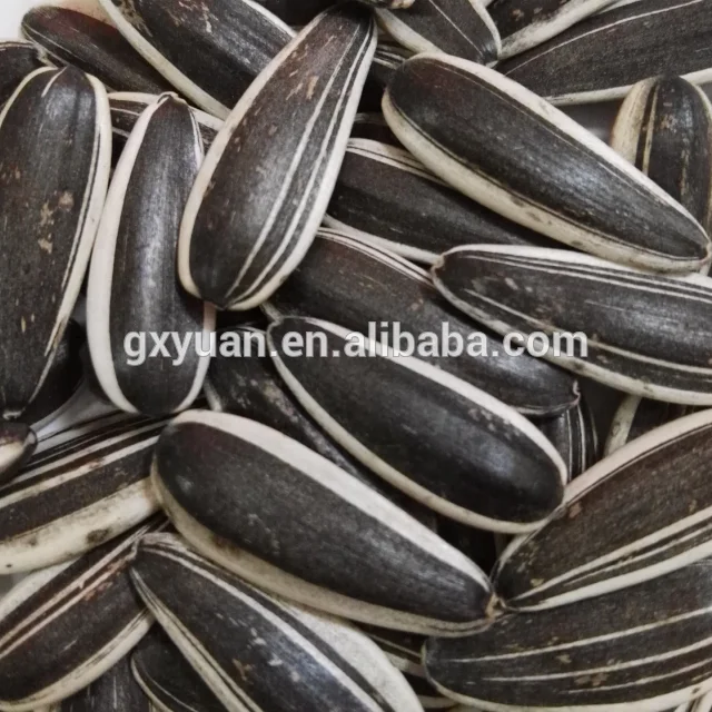 
Chinese factory supply top grade quality seeds sunflower 601 