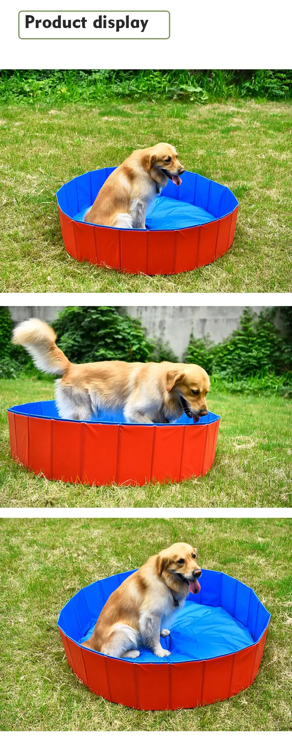 small wading pool for dogs