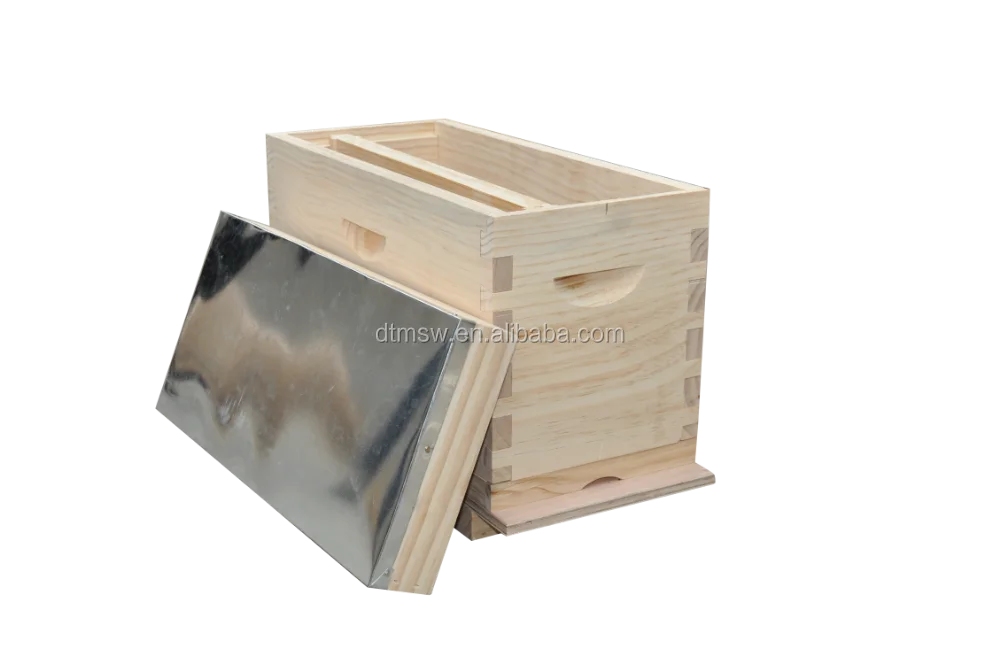 2020 New Plastic Nuc Bee Box Bee Hives,Handheld 5 Frames Nucs Box Price