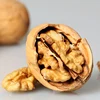 hand picking high quality Chinese xinjiang walnut with shell