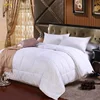 China Supplier Luxury All Season 100% Cotton White Microfiber Quilt for Hotels and Homes