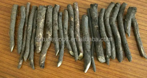 
Wood production paulownia shan tong seedling 