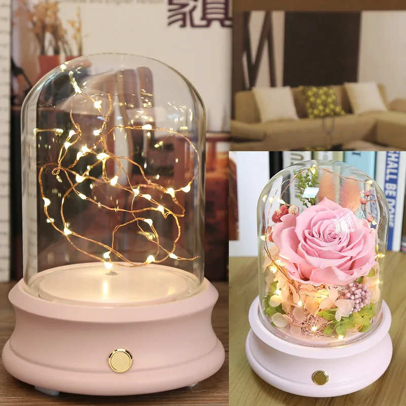 Preserved Cloche Bell Jar Clear Wholesale Glass Domes Decorative Glass