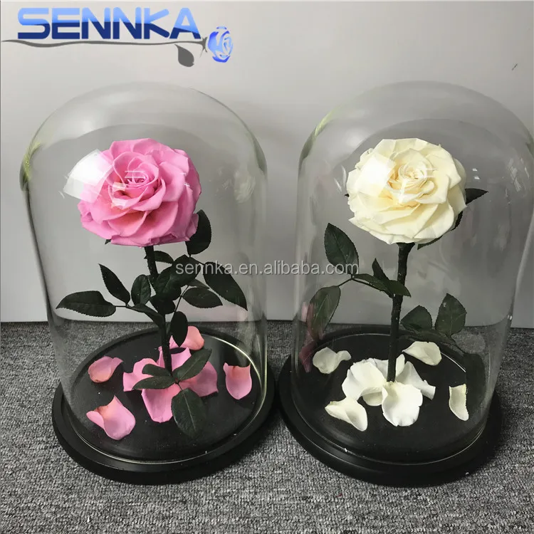 Venta Al Por Mayor Eterna Rosa Blanca Flor Preservada En Tubos De Vidrio  Para Regalo De Navidad - Buy Rosa Eterna En Vidrio,Flor Conservada En  Vidrio,Regalo De Flor Conservada Product on Alibaba.com