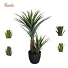 2018 cheap artificial Zamioculcas zamiifolia, Araceae plant, fake Genus plant tropical perennial plant native to eastern