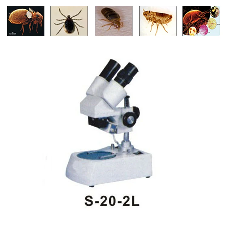 ST-20-P WINCOM Binocular Biological Stereo Microscope