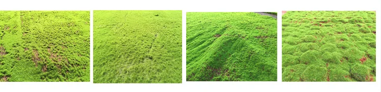 interior wall decoration artificial sea preserved immortal moss wall art panel sheet, peat moss mat natural, moss crepe
