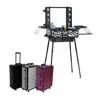 Trolley stand Mobile Professional Aluminum LED makeup case with lights, Portable makeup station makeup studio