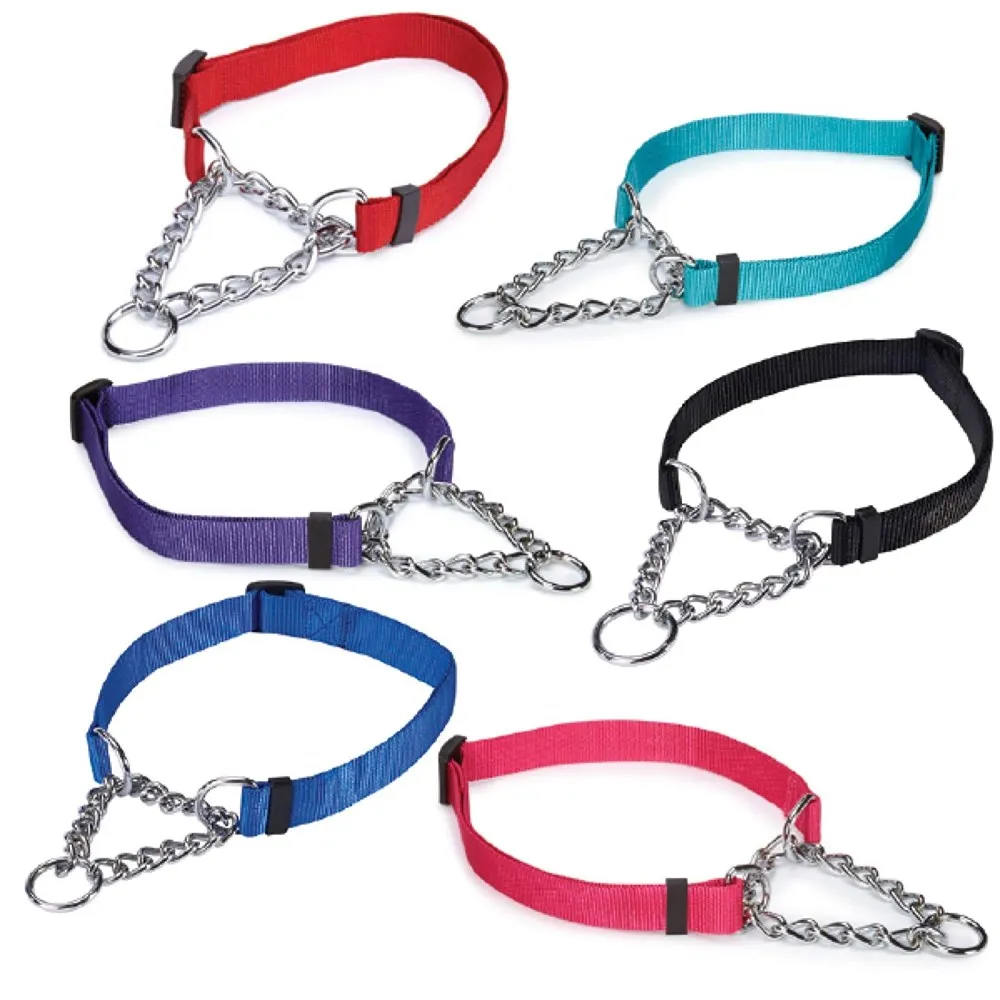 Personalized New Safety Adjustable Choke Style Dog Collar Training