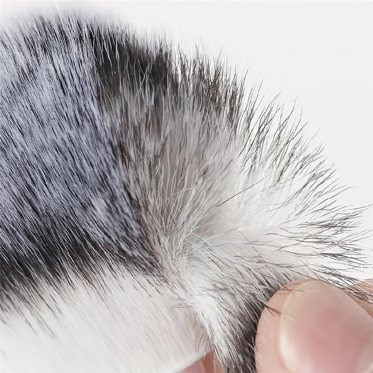 cosmetic brush.jpg