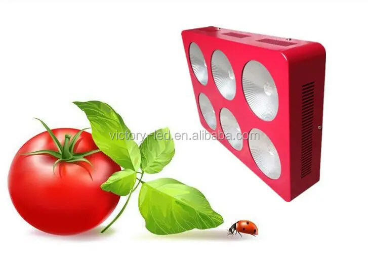 AC85~277V 300-1600W LED Grow Lighting Full Spectrum For Grow Project Stock From China Supplier