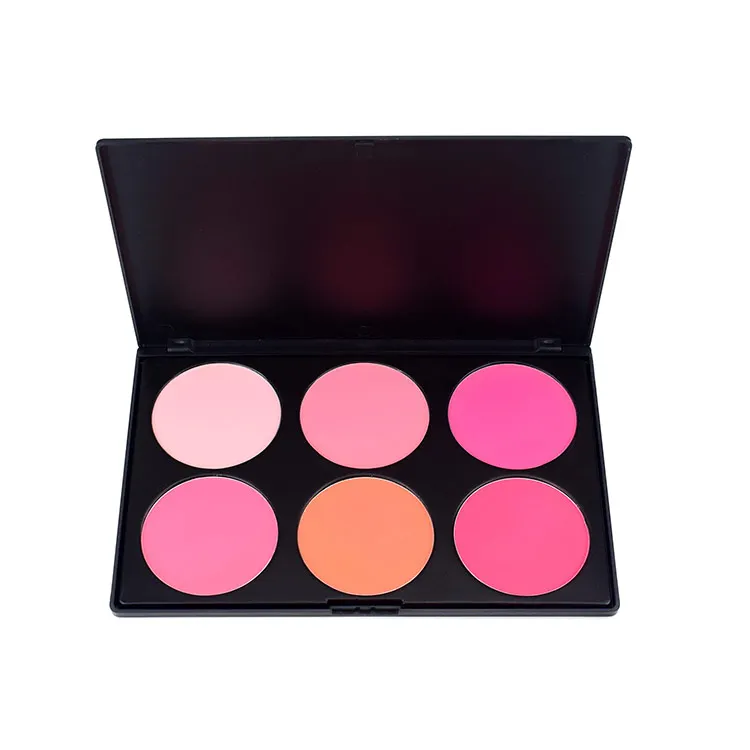 blush makeup kit