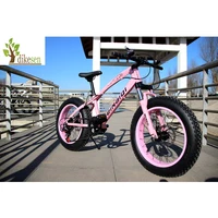 

Factory supply high quality 20inch fat bike custom alloy frame 20" X 4.0" big tyre racing beach fatbike snow bicycle fat bicycle