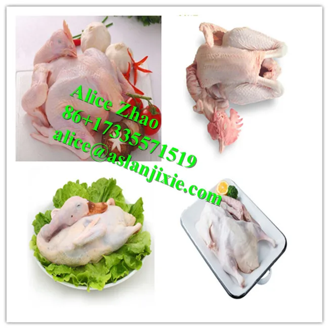 Poultry plucking machine17.jpg