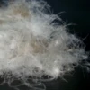 hot sale quality washed grey duck down