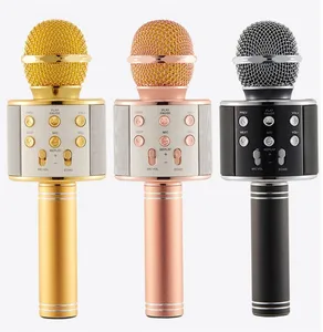 iKaraoke WS 858 Wireless Microphone Speaker Meetings & Fun