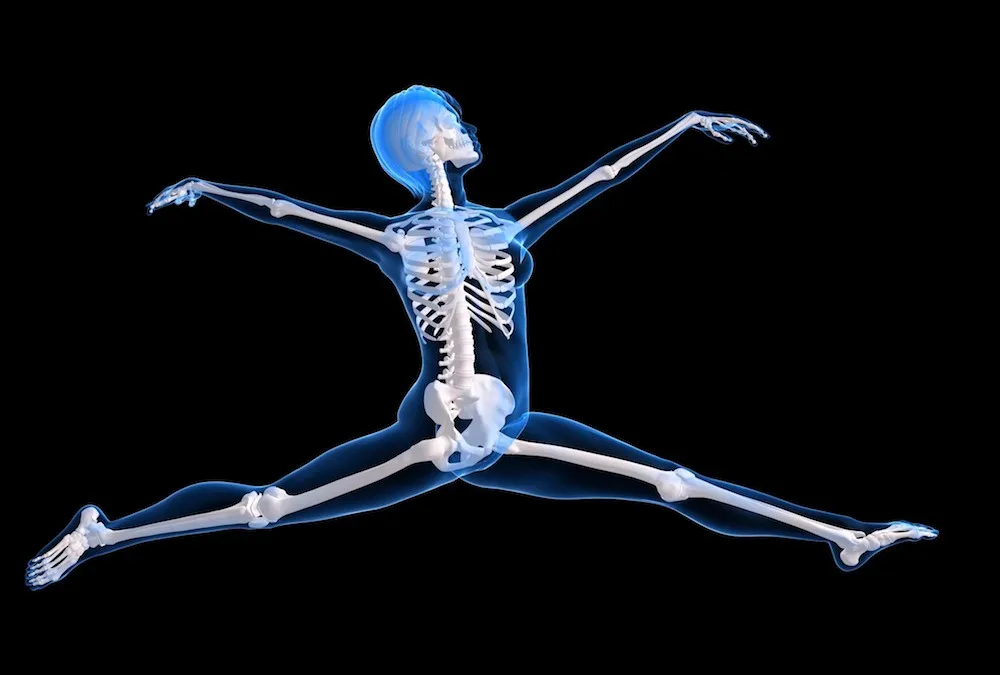 Type 1 and 3 Collagen