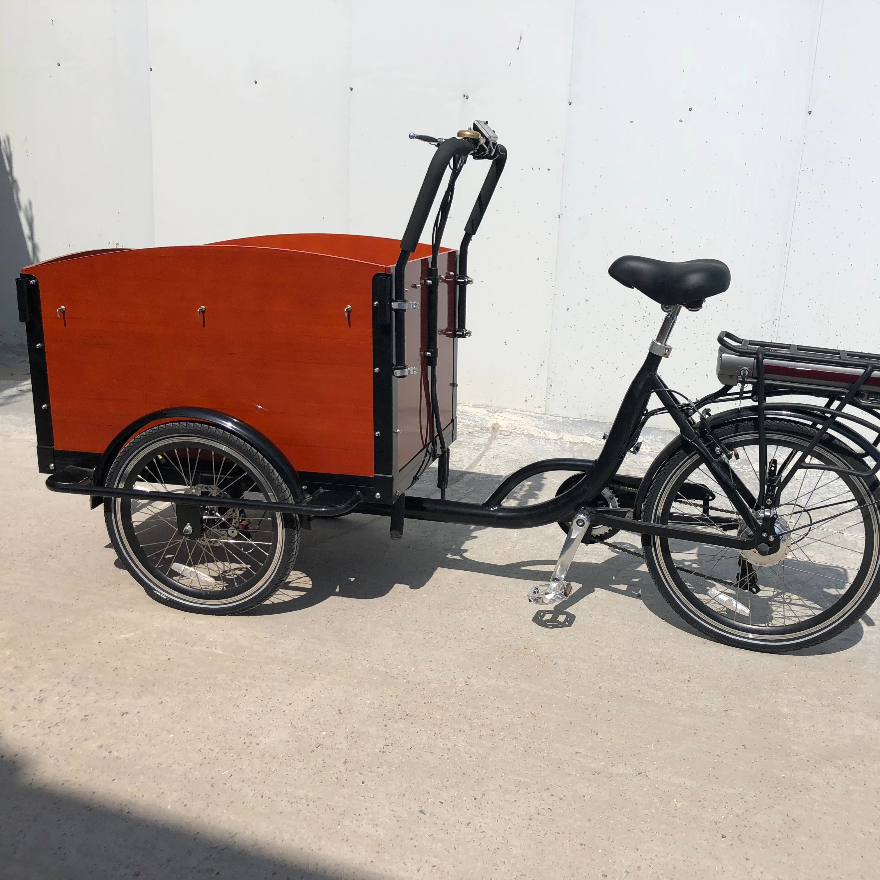 buy electric trike