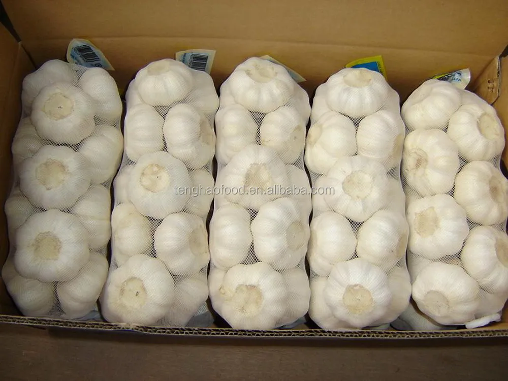 
Chinese new crop garlic (4.5cm 5.0cm 5.5cm 6.0cm) normal/pure white garlic,mesh bag or carton packing 