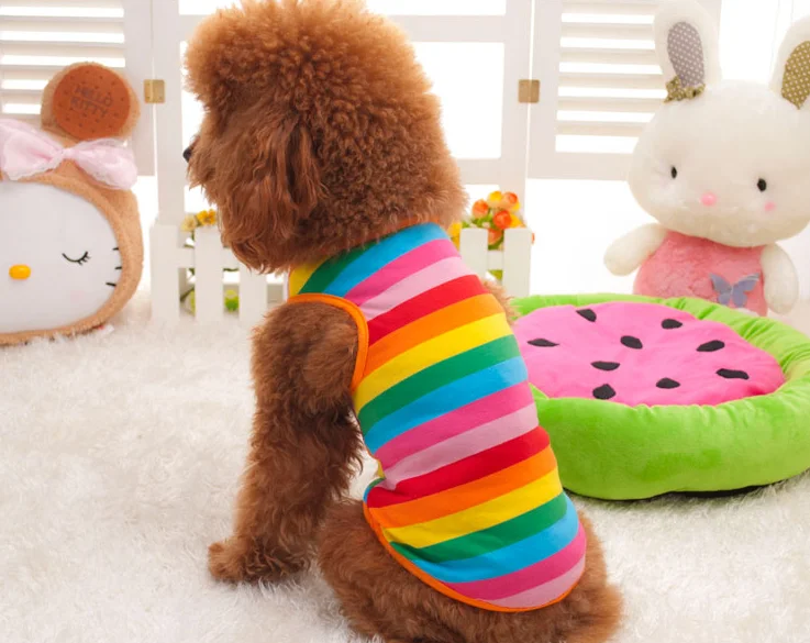 dog sleeveless t shirts