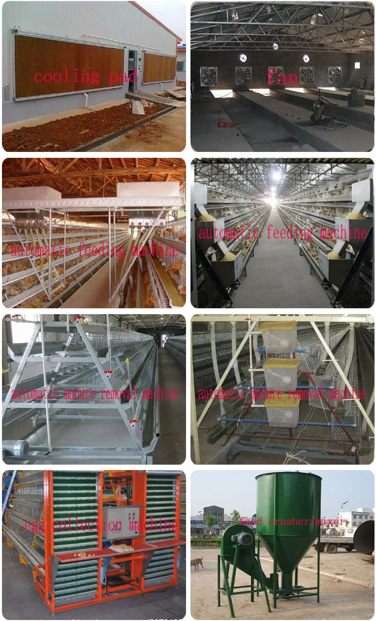 Poultry design layer chicken cages 128 layers per set