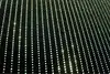 LYCRA VELVET SPANGLE FABRIC