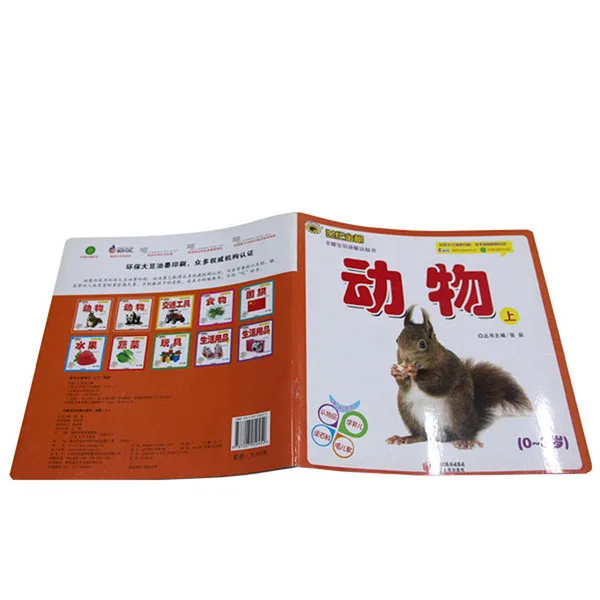 
Chinese Pinyin pronunciation books for foreign learners 