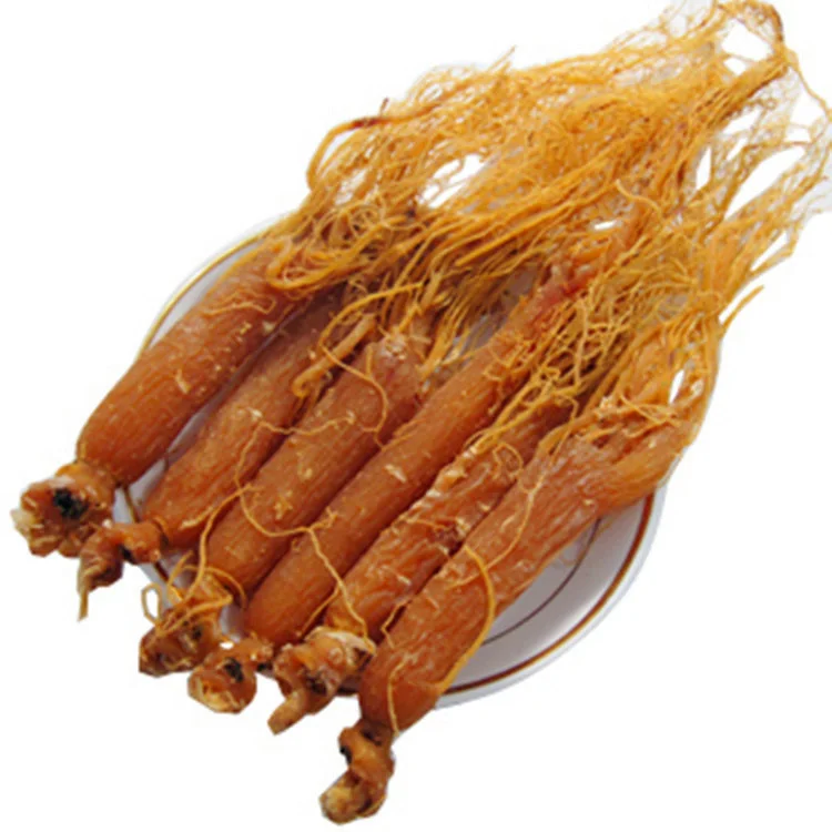 
High quality wholesale Organic red ginseng root 
