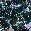 smart RGB outdoor Christmas lights, mobile control outdoor LED christmas lights string