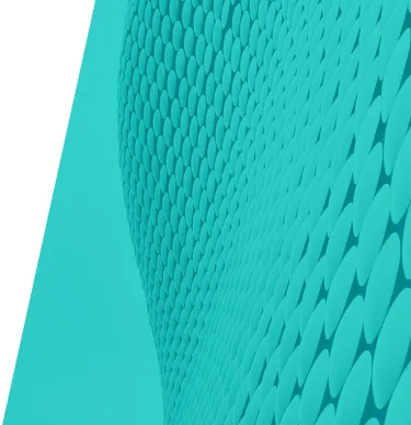 pine nuts indian name