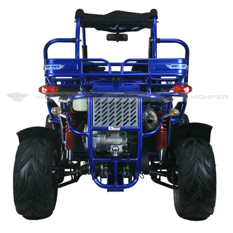 300cc 4 Stroke Water Cooled 2 Seat Animal Go Karts For Sale(gk006gt