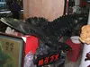 Jade Eagle