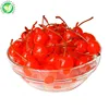 hot selling Canned Fruits Product Canned Red Cherry