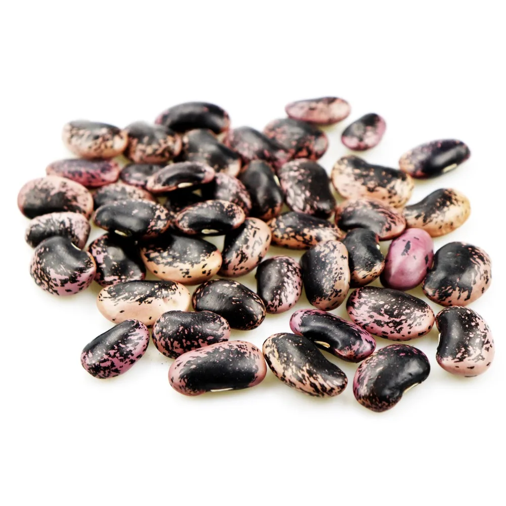 
Large Black Speckled Kidney beans(LBSKB) Yunnan Origin 