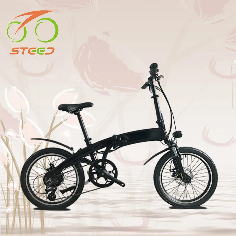 low price electric bike